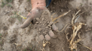 Jay Inslee Wants to Transform How America Farms and Eats